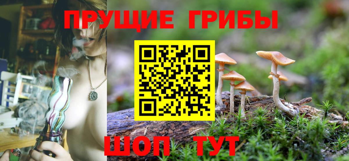 Симферополь  купить закладку  Вход с VPN  Псилоцибиновые грибы MAGIC MUSHROOMS 
